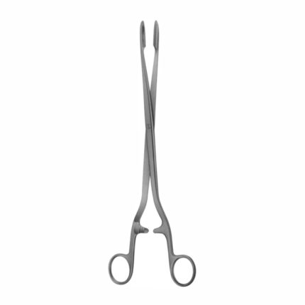 Dressing Forceps