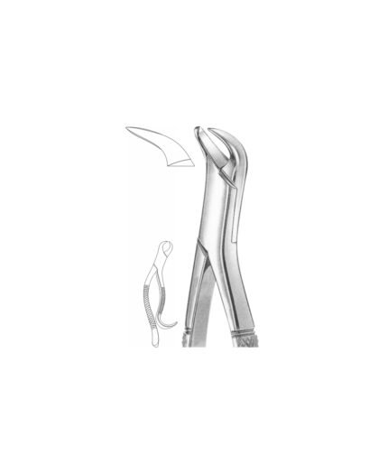 EXTRACTION FOCEPS “AMERICAN PATTERN