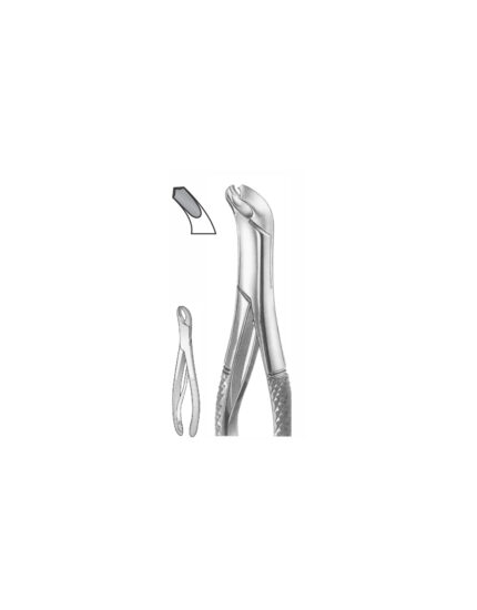 EXTRACTION FOCEPS “AMERICAN PATTERN