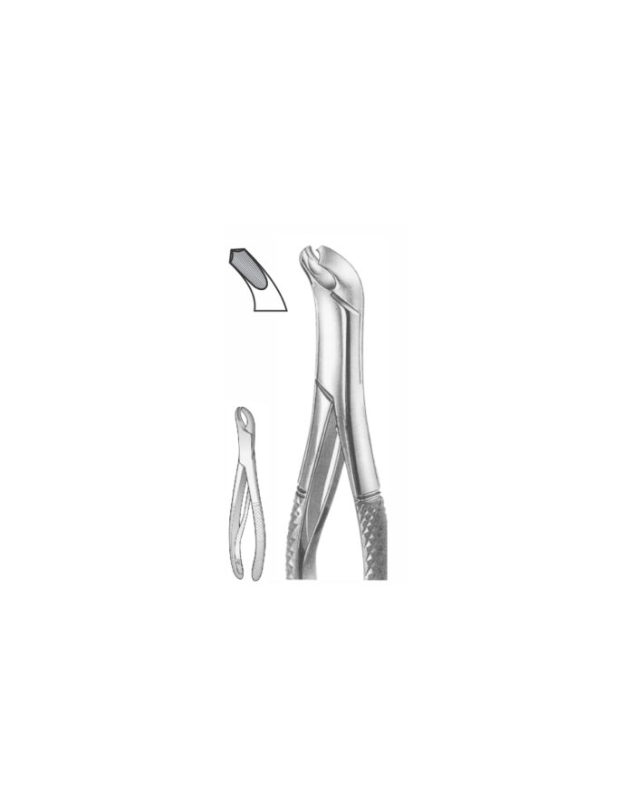 EXTRACTION FOCEPS “AMERICAN PATTERN