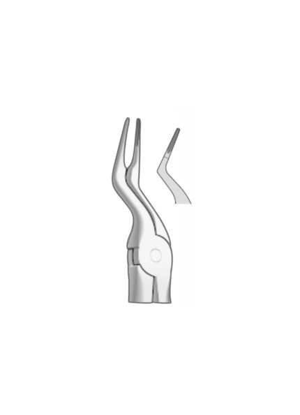 EXTRACTION FOCEPS WITH ANATOMICAL GRIP