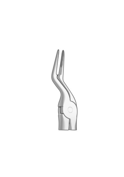 EXTRACTION FOCEPS WITH ANATOMICAL GRIP
