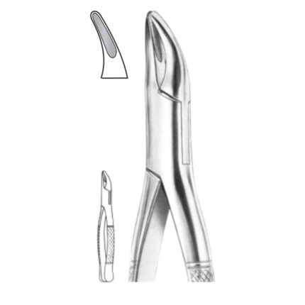 EXTRACTION FOCEPS “AMERICAN PATTERN