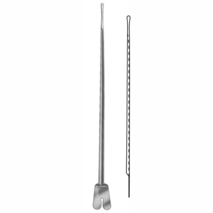 Dissecting Forceps