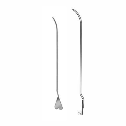 Dissecting Forceps