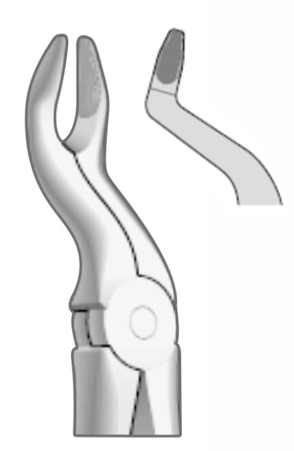 EXTRACTION FOCEPS WITH ANATOMICAL GRIP