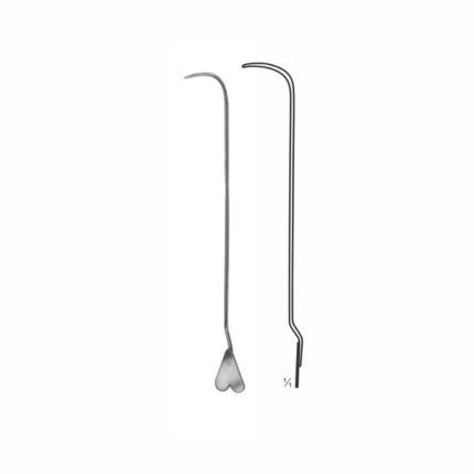 Dissecting Forceps
