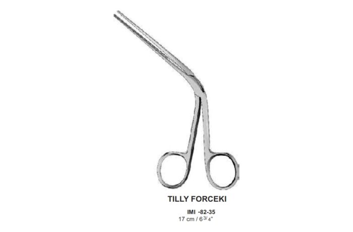 TILLY FORCEKI